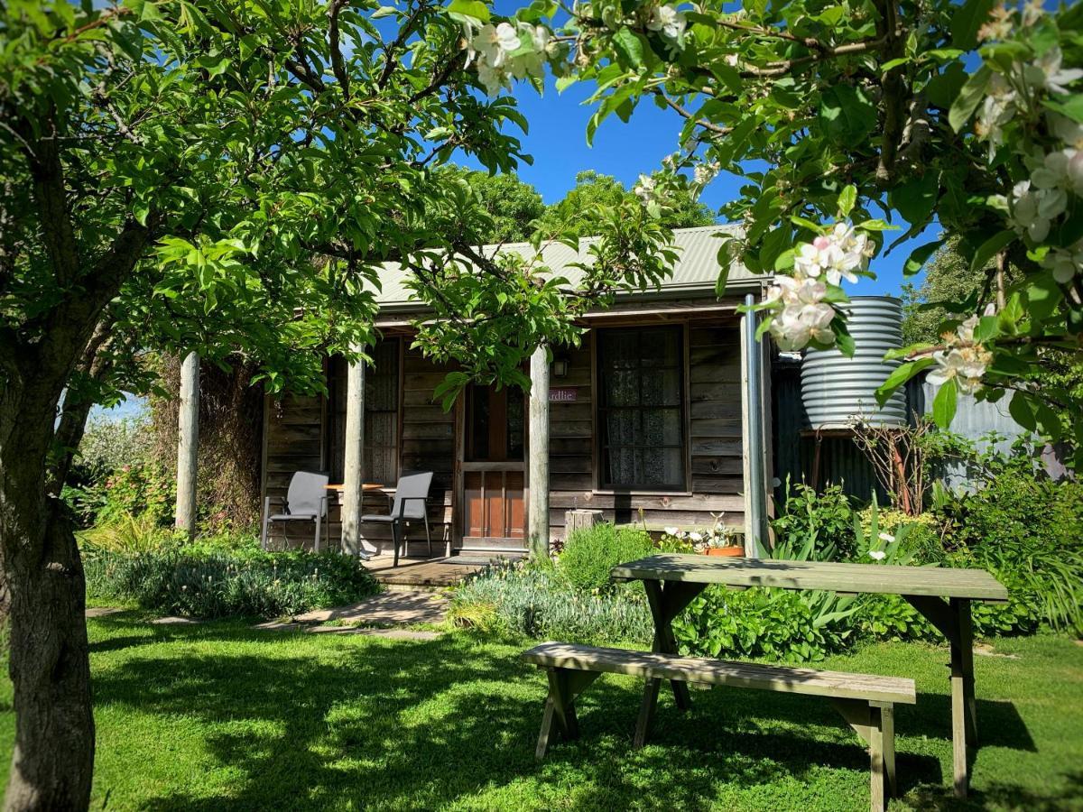 Cherry Plum Cottages Port Fairy Exterior foto