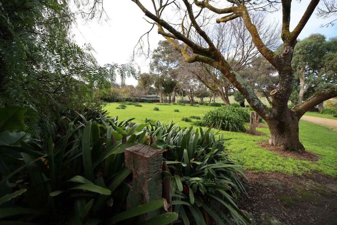 Cherry Plum Cottages Port Fairy Exterior foto
