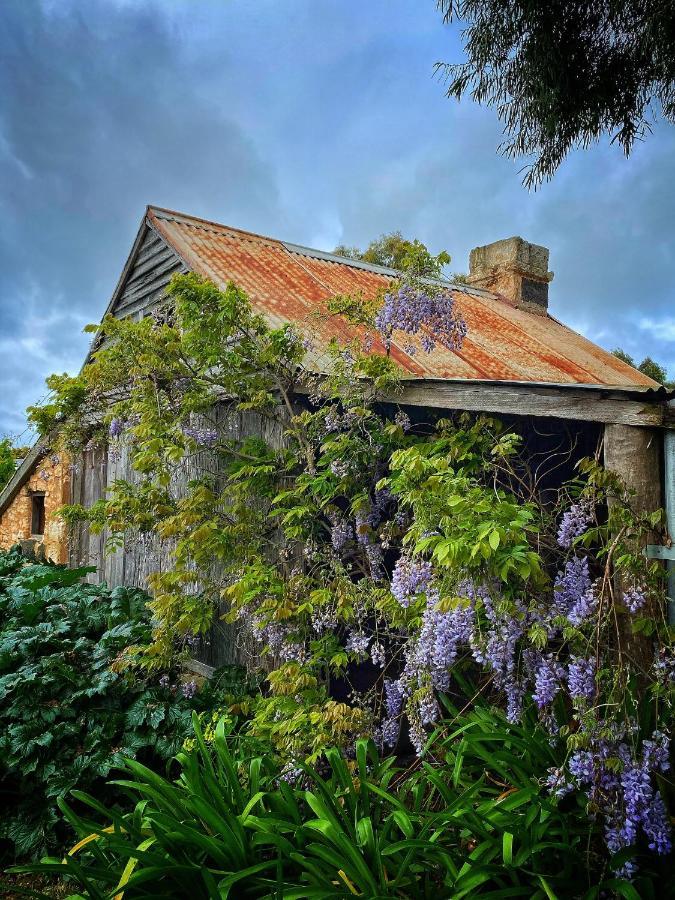 Cherry Plum Cottages Port Fairy Exterior foto